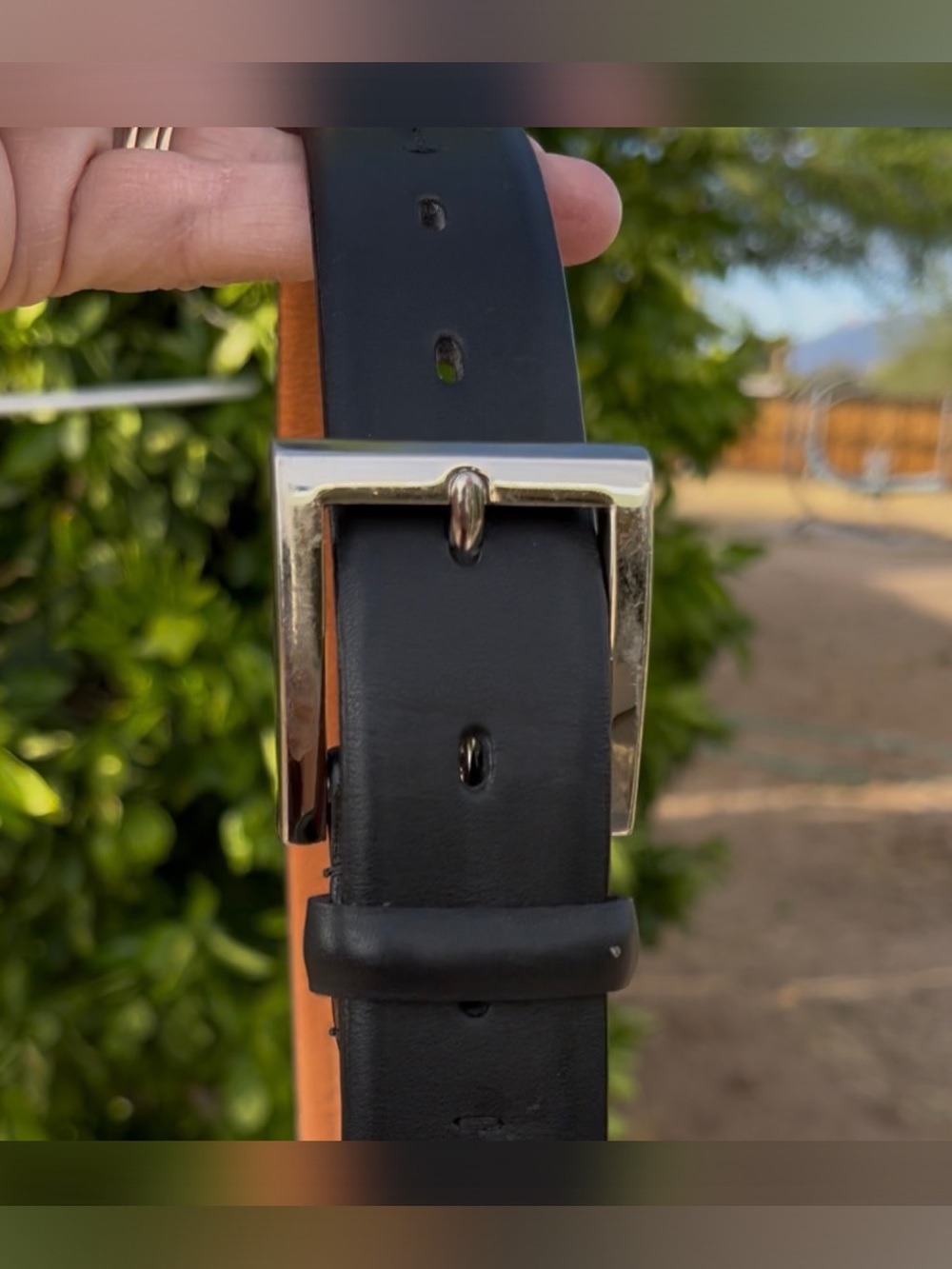 Cole Haan Black Leather, Silver Hardware Belt, Labeled size 34